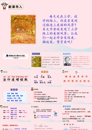 5 铺满金色巴掌的水泥道课件