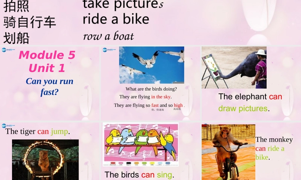 2014秋四年级英语上册 Module 5 Unit 1 Can you ran fast课件4 外研版（三起）