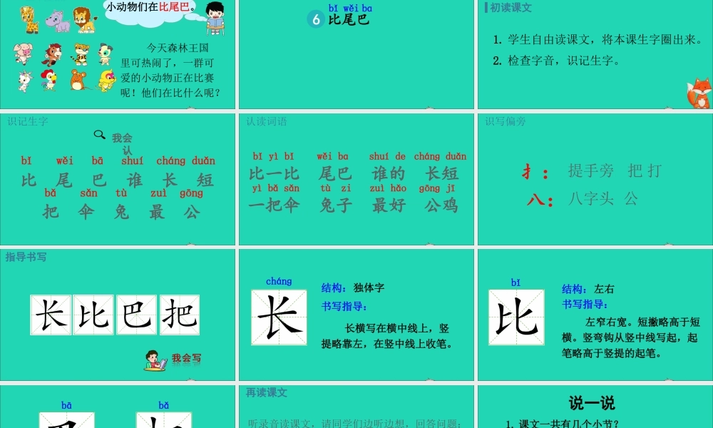 6 比尾巴课件
