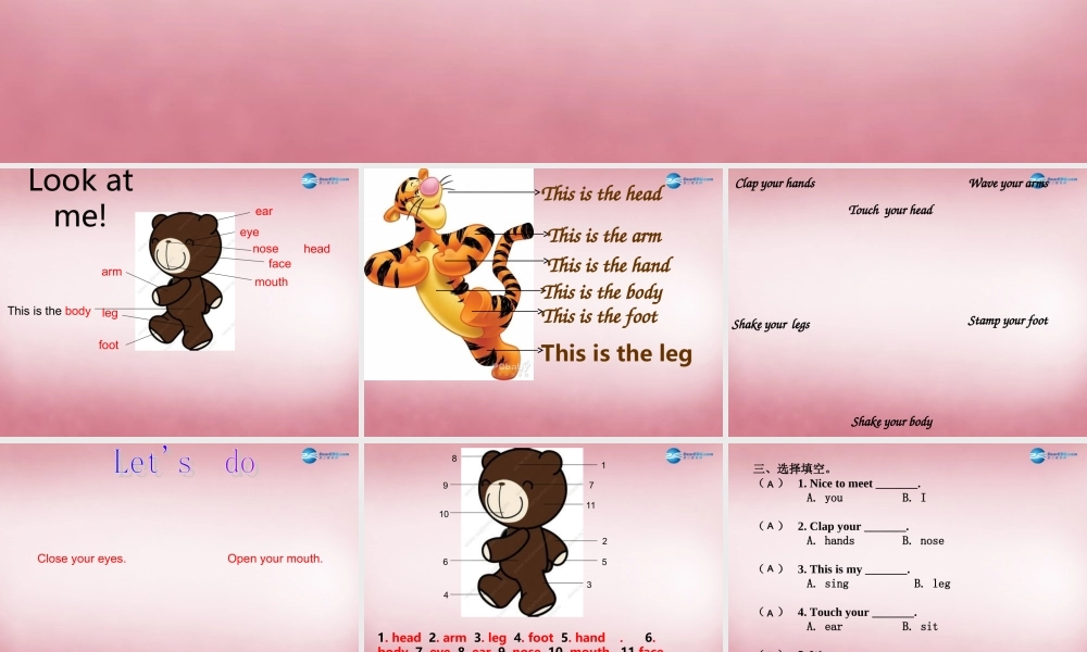 三年级英语上册 Unit3 Look at me（第6课时）课件 人教PEP