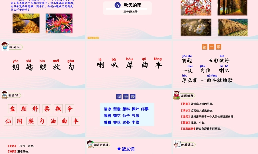 6 秋天的雨课件