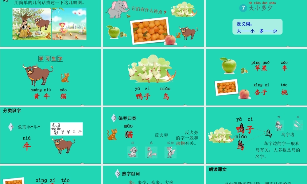 7 大小多少课件