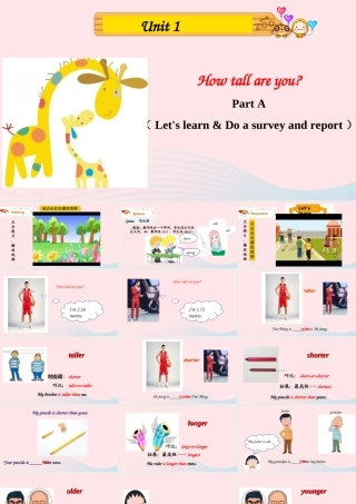 Part A Let's learn & Do a survey and report课件