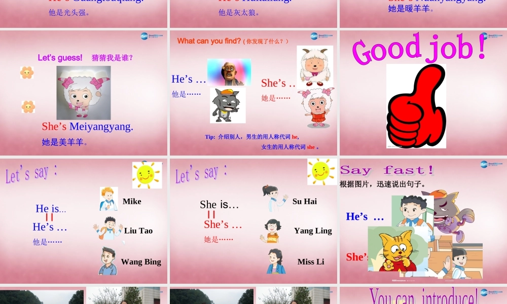 三年级英语上册 Unit3 My friends课件5 译林版