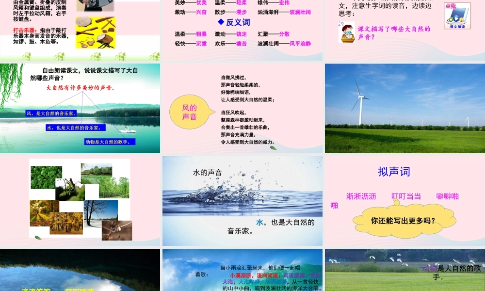 21 大自然的声音课件