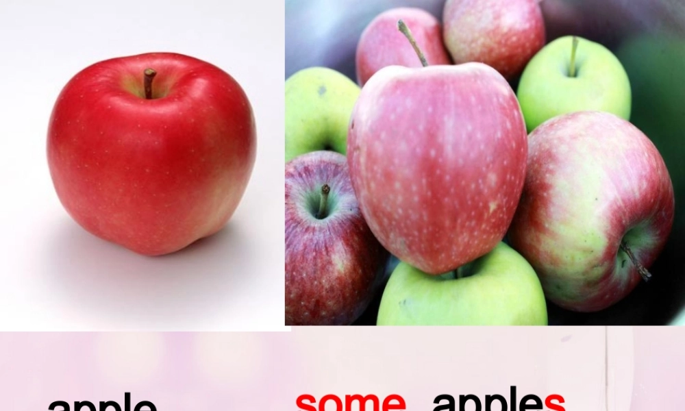 2014秋四年级英语上册 Module 6 Unit 1 Can I have some sweets课件2 外研版（三起）