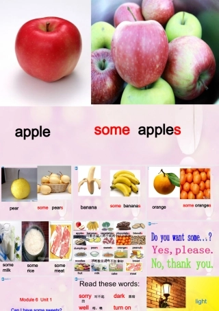 2014秋四年级英语上册 Module 6 Unit 1 Can I have some sweets课件2 外研版（三起）