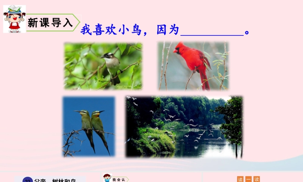 22 父亲、树林和鸟课件