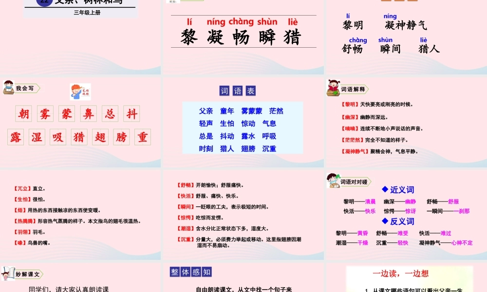 22 父亲、树林和鸟课件