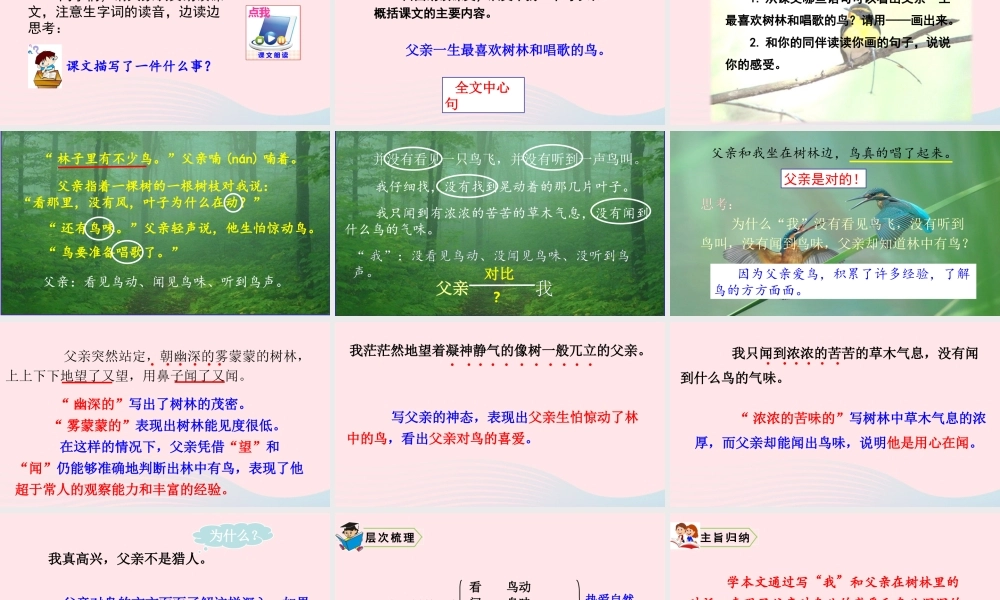 22 父亲、树林和鸟课件