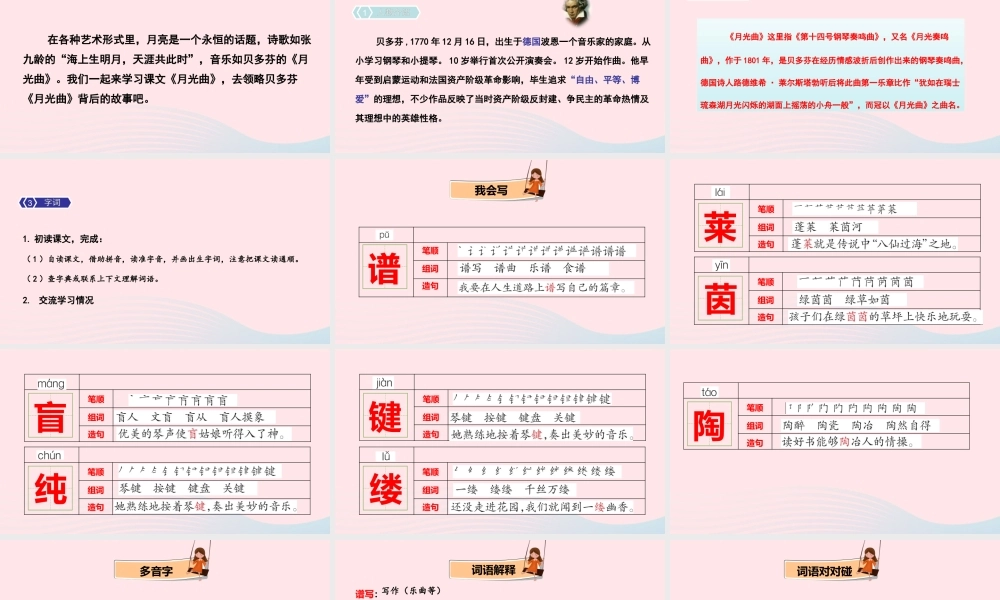 22 月光曲课件