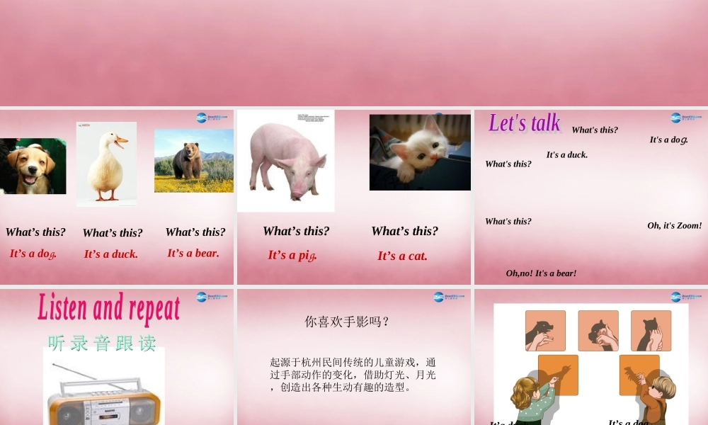 三年级英语上册 Unit4 We love animals（第2课时）课件 人教PEP