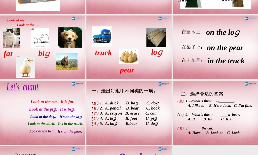 三年级英语上册 Unit4 We love animals（第2课时）课件 人教PEP