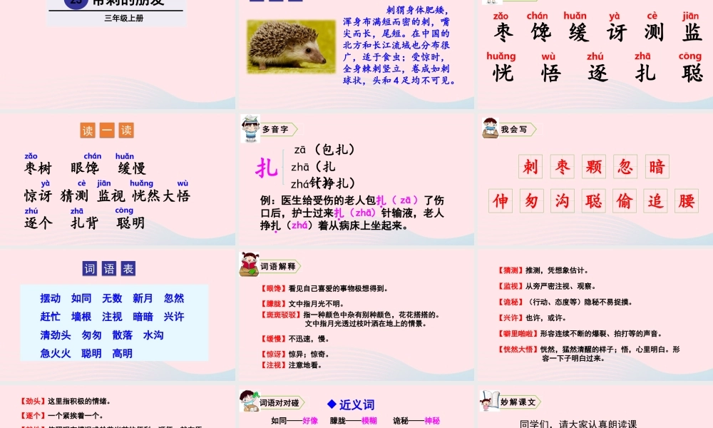 23 带刺的朋友课件