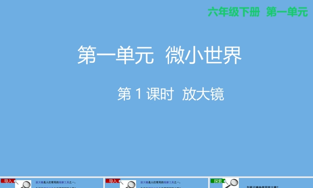 2020春六年级科学下册 第一单元 微小世界 1放大镜教学课件 教科版