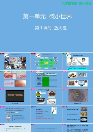 2020春六年级科学下册 第一单元 微小世界 1放大镜教学课件 教科版