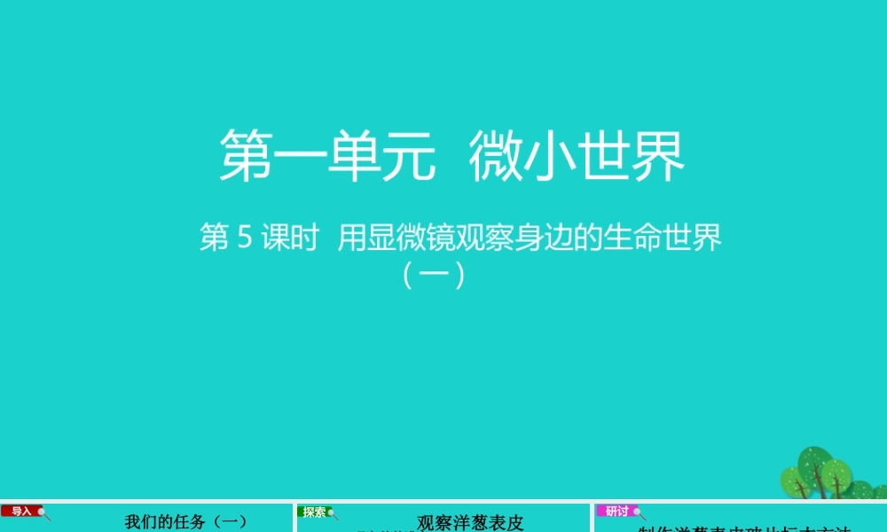 2020春六年级科学下册 第一单元 微小世界 5用显微镜观察身边的生命世界教学课件 教科版