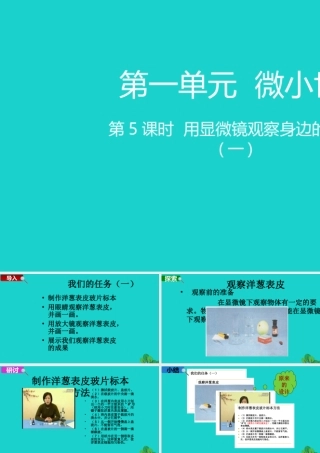 2020春六年级科学下册 第一单元 微小世界 5用显微镜观察身边的生命世界教学课件 教科版