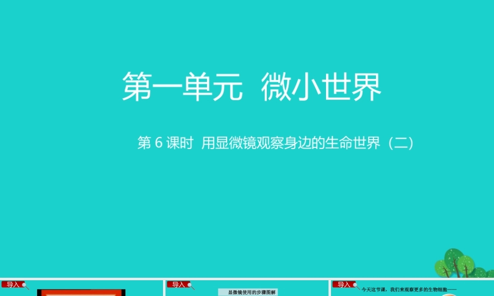 2020春六年级科学下册 第一单元 微小世界 6用显微镜观察身边的生命世界（二）教学课件 教科版