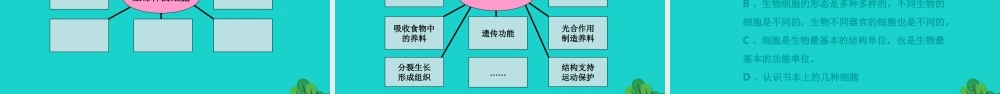 2020春六年级科学下册 第一单元 微小世界 6用显微镜观察身边的生命世界（二）教学课件 教科版