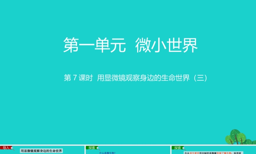 2020春六年级科学下册 第一单元 微小世界 7用显微镜观察身边的生命世界（三）教学课件 教科版