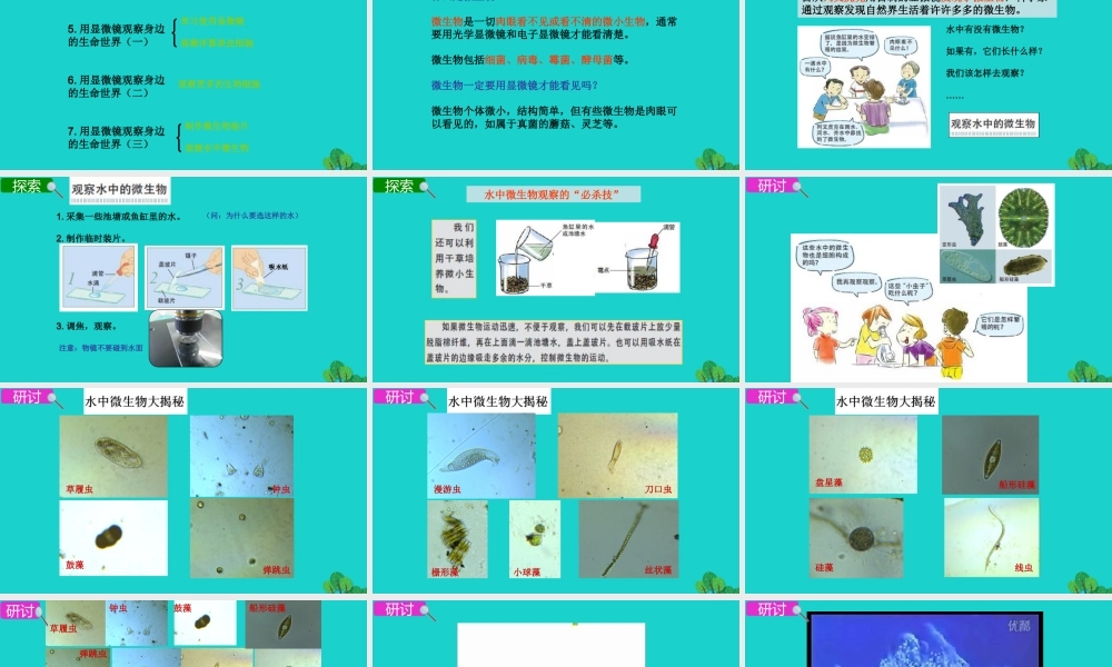 2020春六年级科学下册 第一单元 微小世界 7用显微镜观察身边的生命世界（三）教学课件 教科版