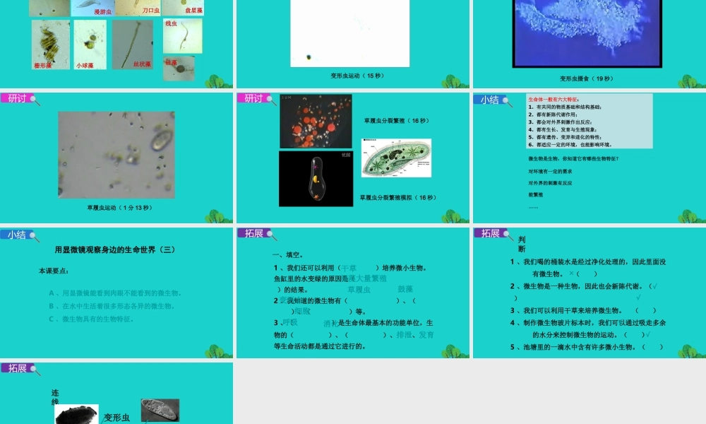 2020春六年级科学下册 第一单元 微小世界 7用显微镜观察身边的生命世界（三）教学课件 教科版