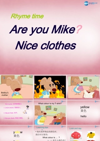 三年级英语上册 Unit6 Colours课件3 译林版