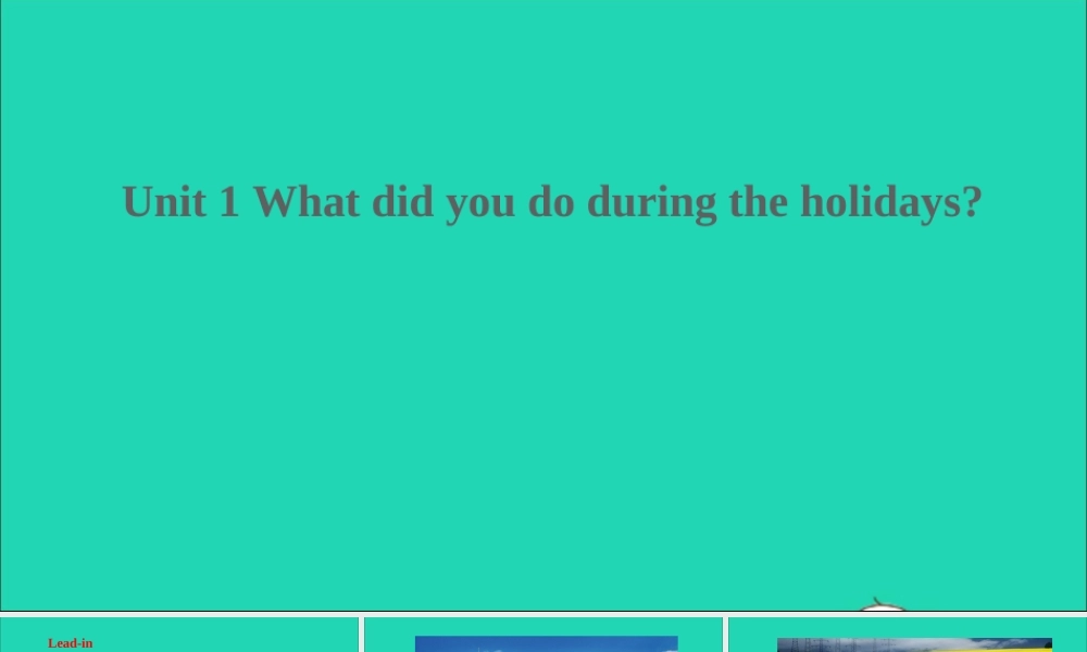 Unit 1 What did you do during the holidays课件