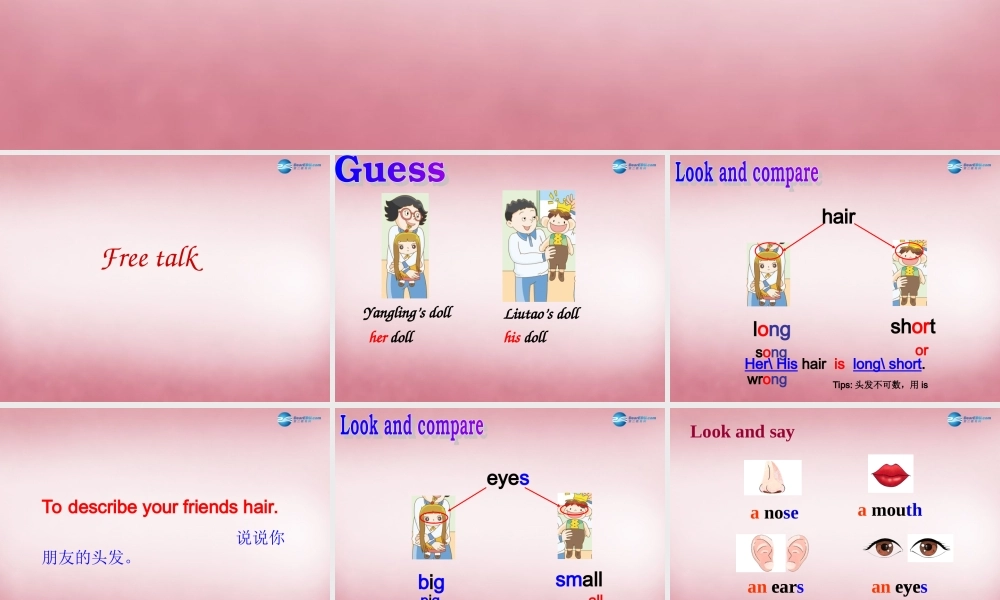 2014年秋四年级英语上册 Unit8 Dolls课件5 译林版