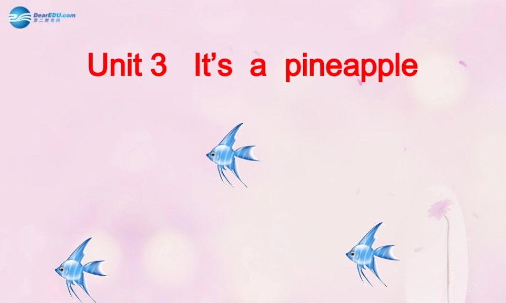 2014秋四年级英语上册 Unit 3 It’s a pineapple课件1 人教版（精通）