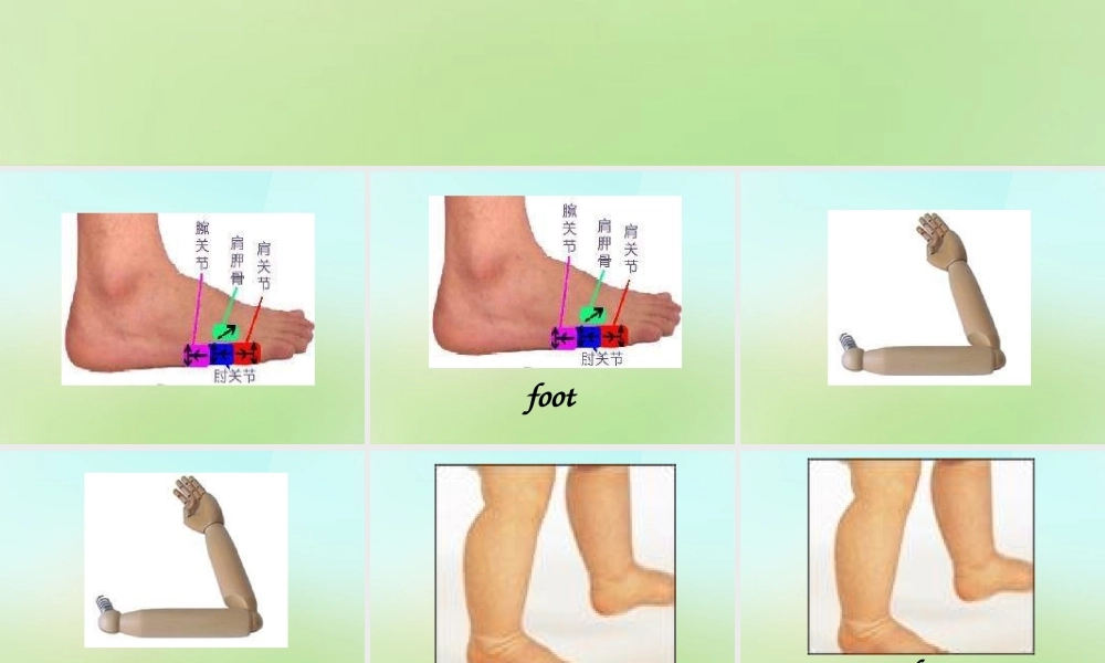 三年级英语上册《Module 2 Unit 5 Raise My Arms》课件 广州版广州版小学三年级上册英语课件