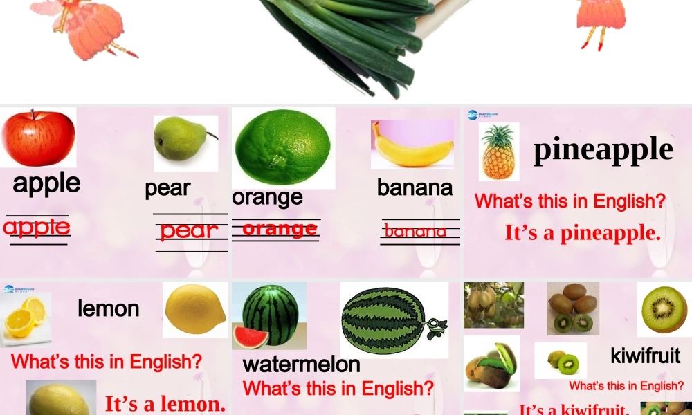 2014秋四年级英语上册 Unit 3 It’s a pineapple课件3 人教版（精通）