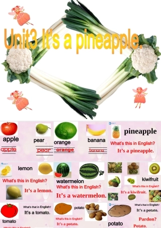 2014秋四年级英语上册 Unit 3 It’s a pineapple课件3 人教版（精通）
