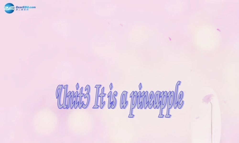 2014秋四年级英语上册 Unit 3 It’s a pineapple课件4 人教版（精通）