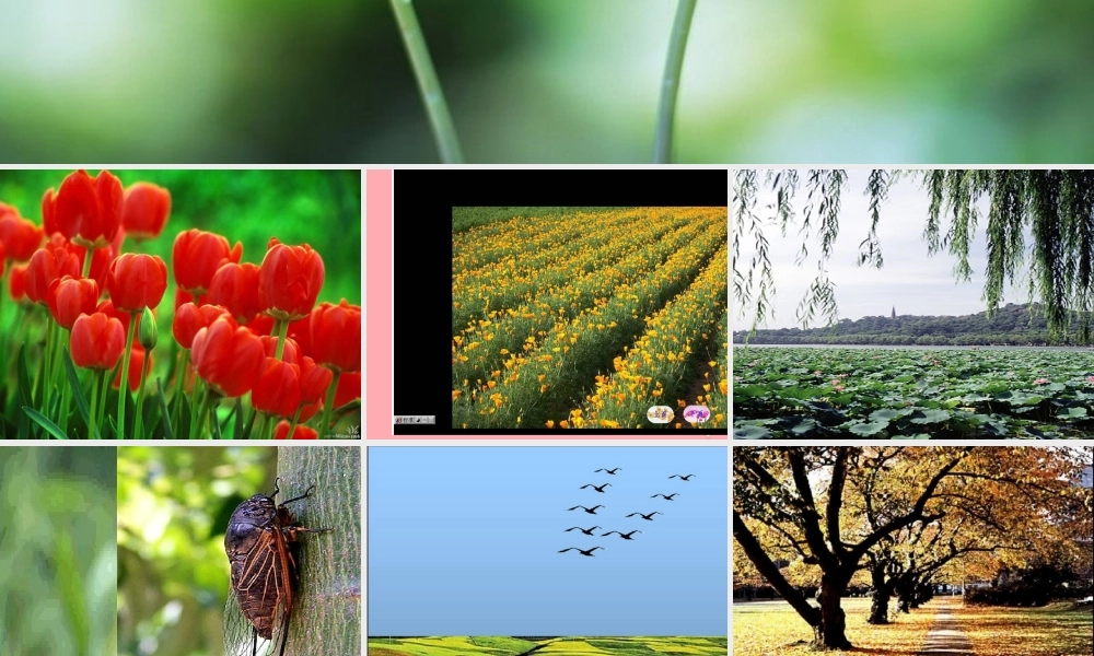 2017秋人教版语文二年级上册选读1《四季的脚步》ppt课件1