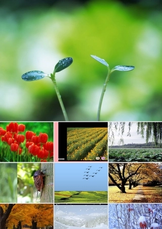 2017秋人教版语文二年级上册选读1《四季的脚步》ppt课件1