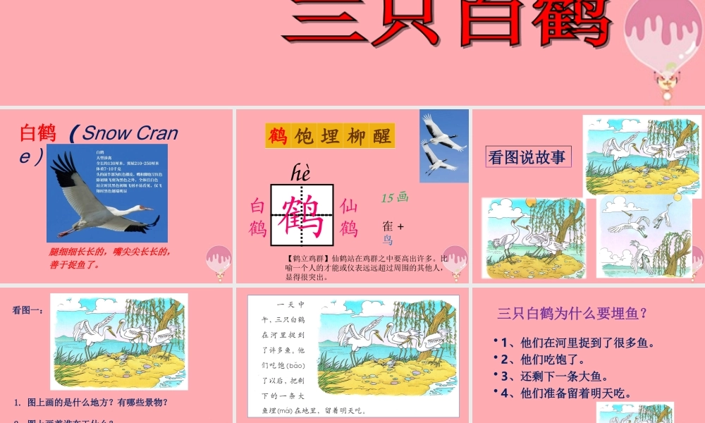 2017秋人教版语文二年级上册选读3《三只白鹤》ppt课件1
