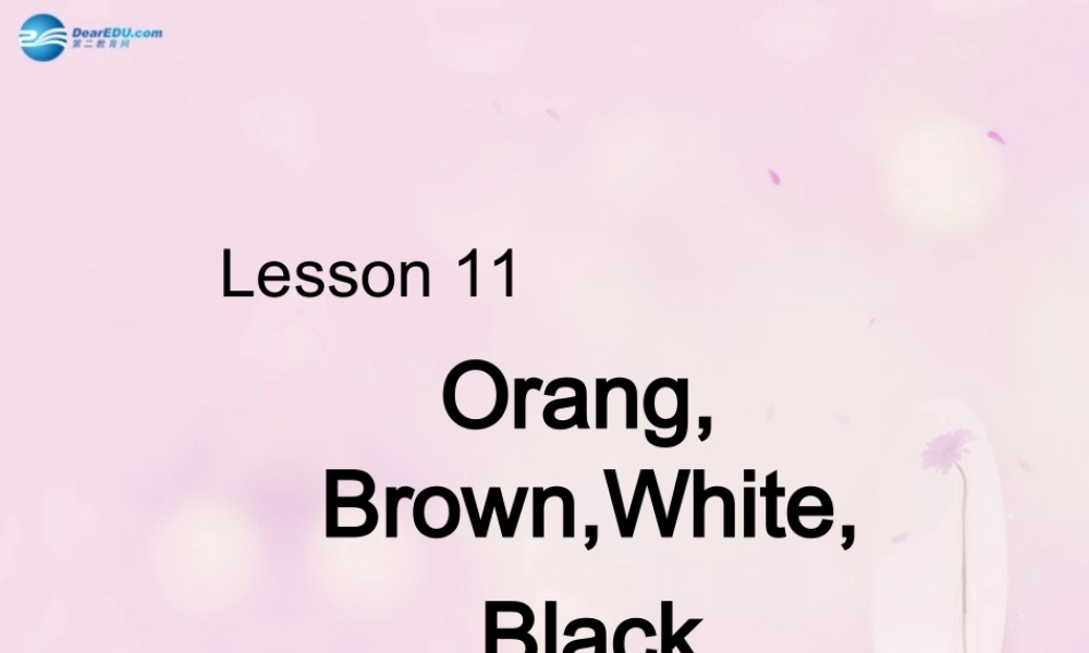 2014秋三年级英语上册 Lesson 11 Orange, Brown, White, Black课件1 冀教版