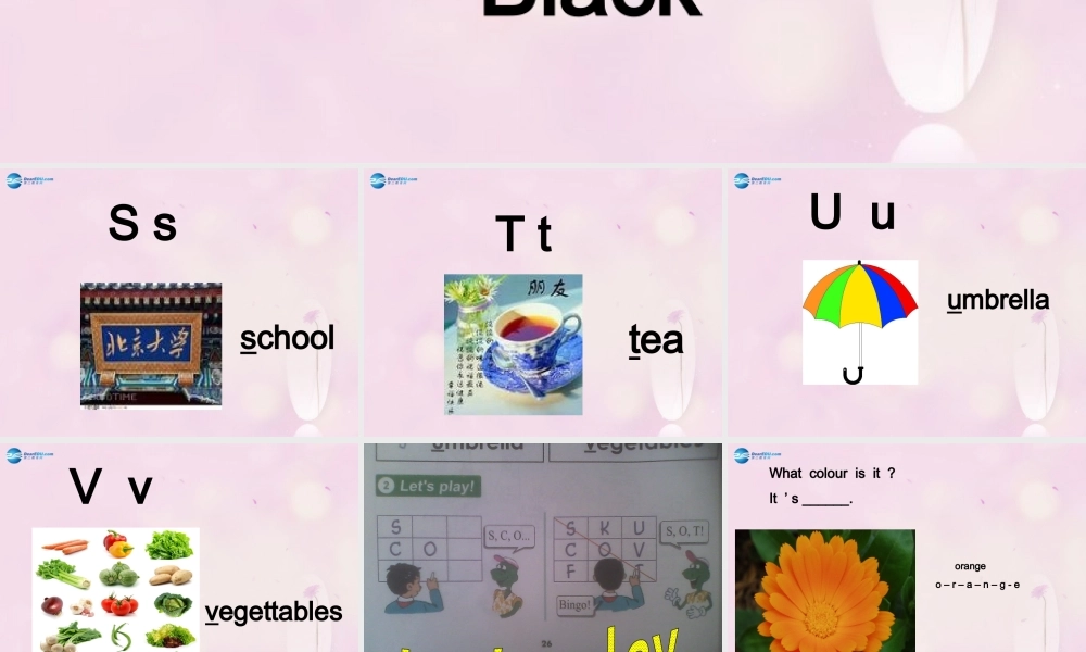 2014秋三年级英语上册 Lesson 11 Orange, Brown, White, Black课件1 冀教版