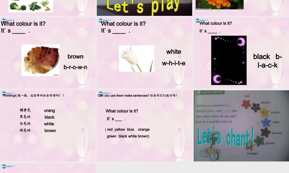 2014秋三年级英语上册 Lesson 11 Orange, Brown, White, Black课件1 冀教版