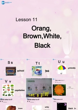 2014秋三年级英语上册 Lesson 11 Orange, Brown, White, Black课件1 冀教版