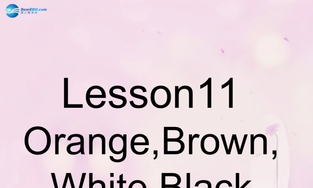 2014秋三年级英语上册 Lesson 11 Orange, Brown, White, Black课件2 冀教版