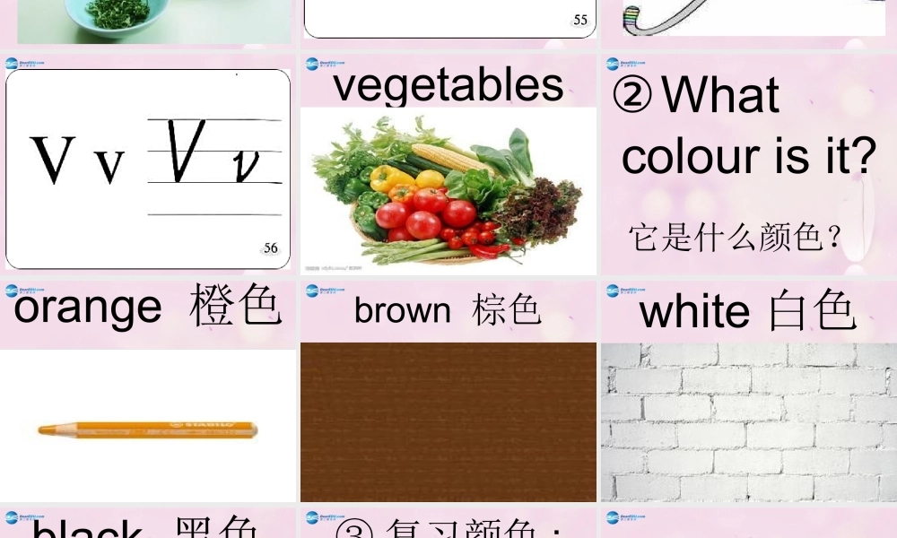 2014秋三年级英语上册 Lesson 11 Orange, Brown, White, Black课件2 冀教版