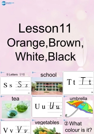 2014秋三年级英语上册 Lesson 11 Orange, Brown, White, Black课件2 冀教版