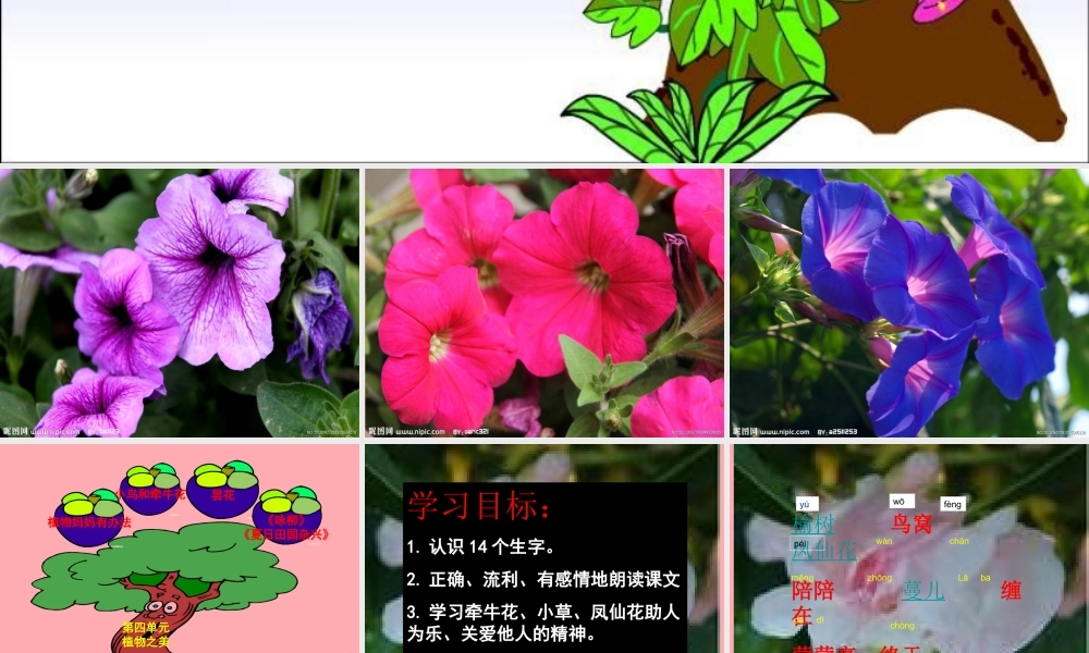 2017秋人教版语文二年级上册选读4《小鸟和牵牛花》ppt课件1