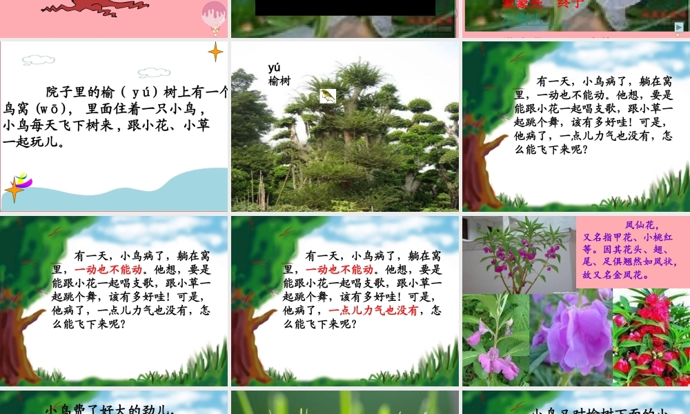 2017秋人教版语文二年级上册选读4《小鸟和牵牛花》ppt课件1