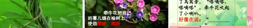 2017秋人教版语文二年级上册选读4《小鸟和牵牛花》ppt课件1