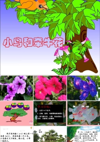 2017秋人教版语文二年级上册选读4《小鸟和牵牛花》ppt课件1