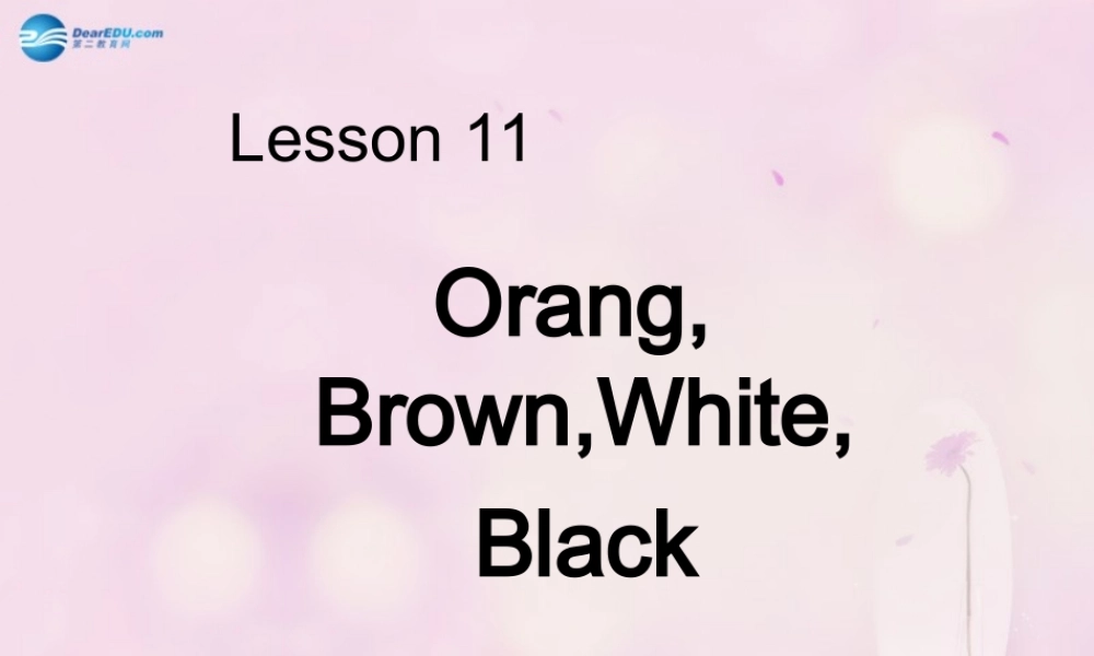 2014秋三年级英语上册 Lesson 11 Orange, Brown, White, Black课件3 冀教版